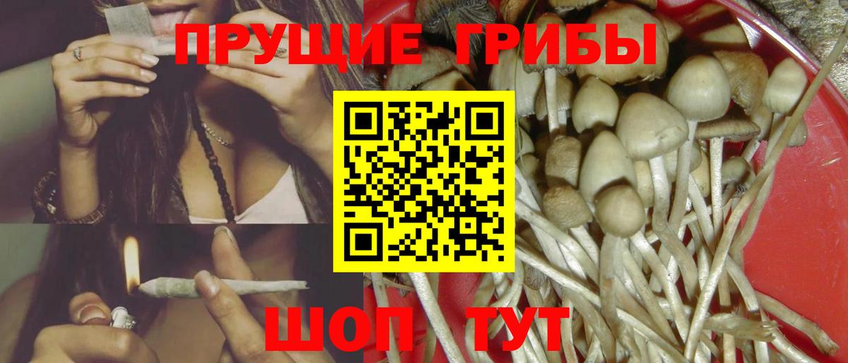 Галлюциногенные грибы ЛСД  Вход с VPN  Туапсе 